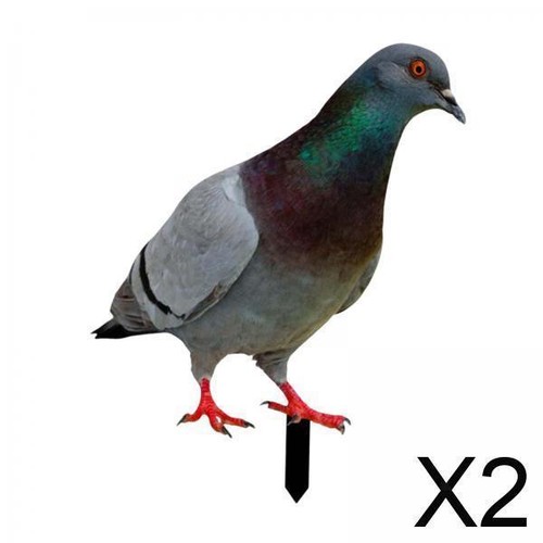 Pigeon garden stake bird - pigeon,