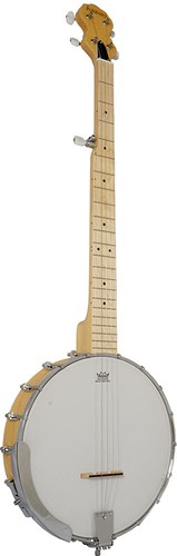 Ashbury 5 string - ashbury,