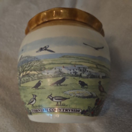 Presingoll cornish pottery - pottery,