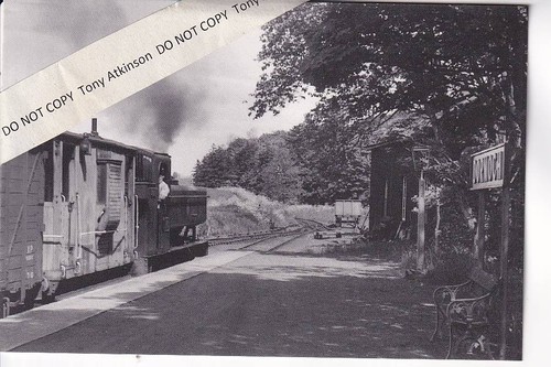 Dornoch railway station 1960 - dornoch,