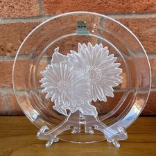 Japanese Hoya Marigolds