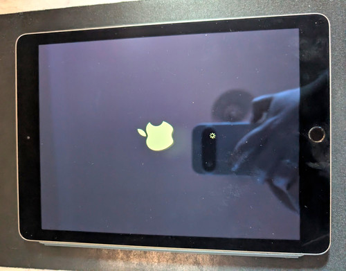 Apple ipad mini - a1566, 7.9in