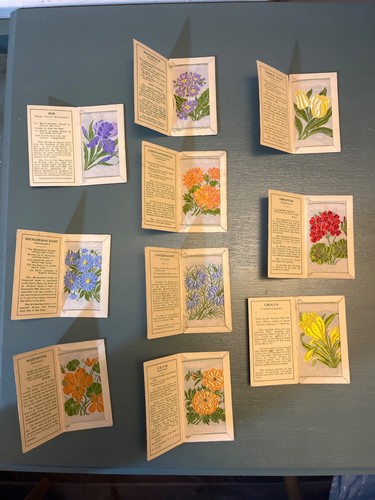 Kensitas flower silks - , with