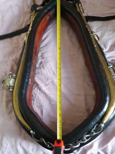 Driving collar black leather - driving,