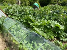 Cloche Wire Frames 8 sets of wires High Barn Glass Cloche Chase Style -