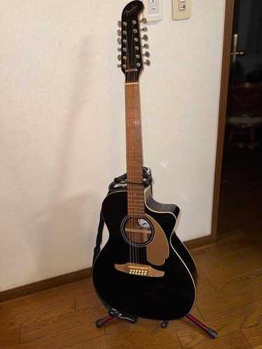 Acoustic guitar fender - acoustic,