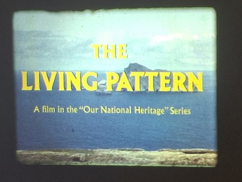 The living pattern - the,