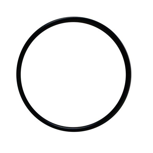 Aquaclear 110 seal - 110, ring