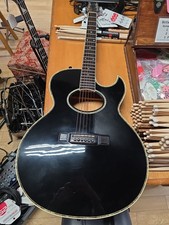 Washburn EA40 Woodstock Custom