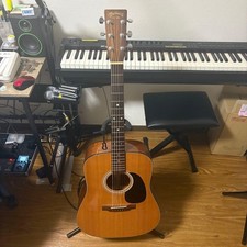 Martin D-18 / Acoustic Guitar