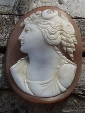 19th Century Shell Cameo Artemis Diana Goddess of The Hunt Grand Tour 36mm