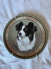 Border Collie Decorative Plate