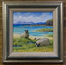 Angus G Nicolson – Sheep –