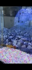 Aquarium