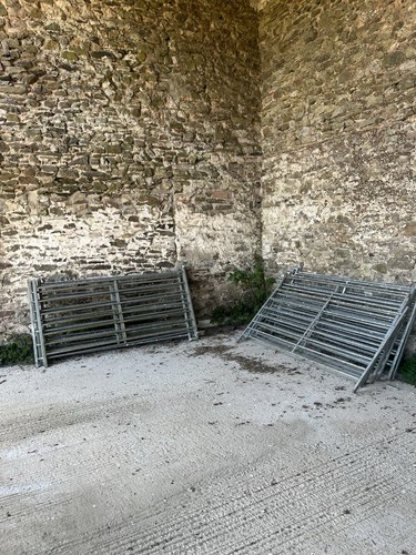 Galvanised sheep lambing - galvanised, sheep/lambing