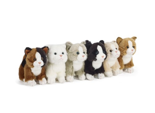 Cat small plush soft toy - cat,