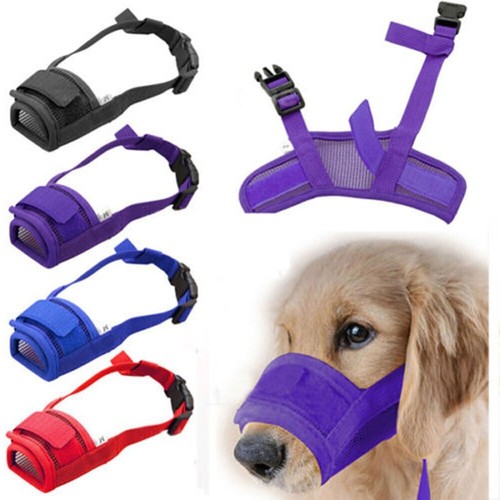Dog safety muzzle - safety,