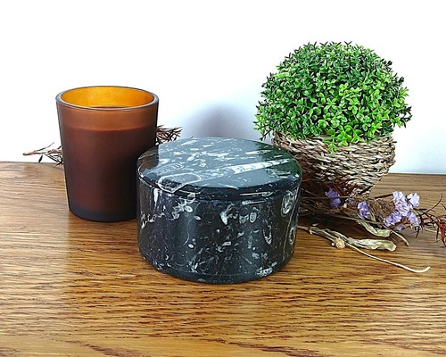 Orthoceras fossil round box - fossil,