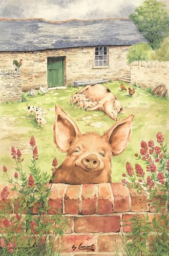 Mccaw allen pigs tea towel - pigs,
