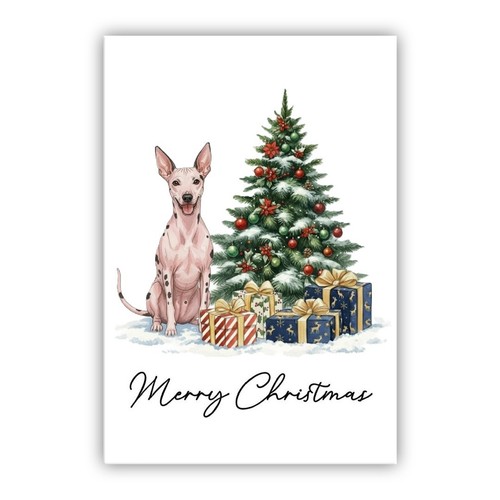 American hairless terrier - hairless,