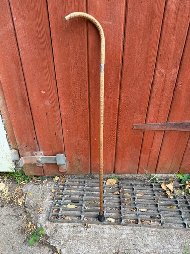 Antique crook walking stick - antique,