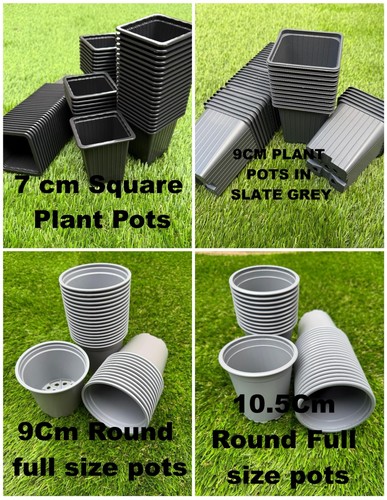7cm square plant pots - 9,