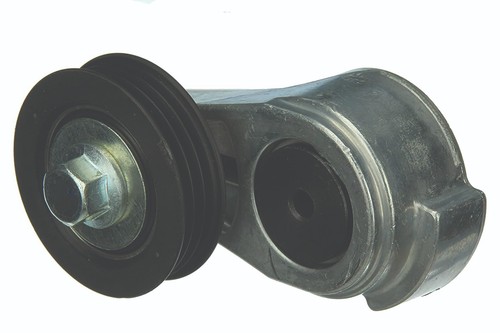 Jaguar type water - jaguar,
