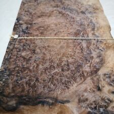  Burr/Burl Walnut