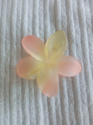 Pink and yellow flower hair - and,