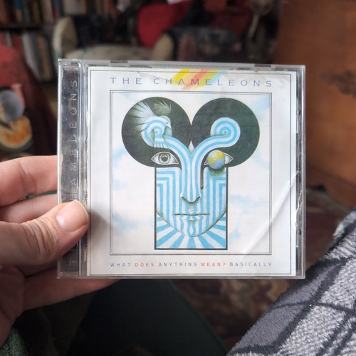 The chameleons what does - -,