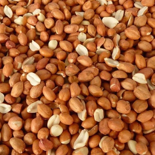 Premium peanuts wild bird - premium,