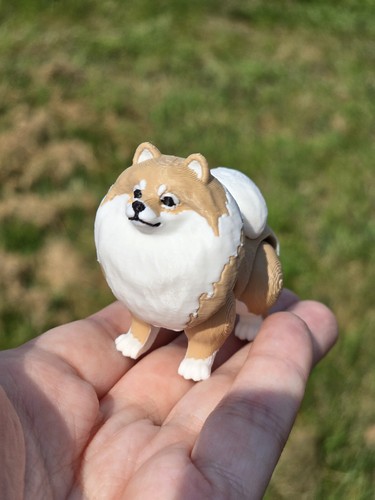 Print pomeranian dog - 3-d,