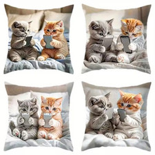 Beautiful 4 pieces set  cat