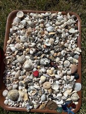 Aquarium, Fish Tank, Craft, Beach Display Shells, Stones 1.8 Kg