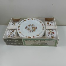 Vintage Retro Arcopal Dinner