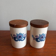 1970s Vintage  New Devon Pottery, Newton Abbott salt and pepper shakers
