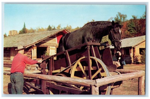 C1950 sawing logs - logs, by