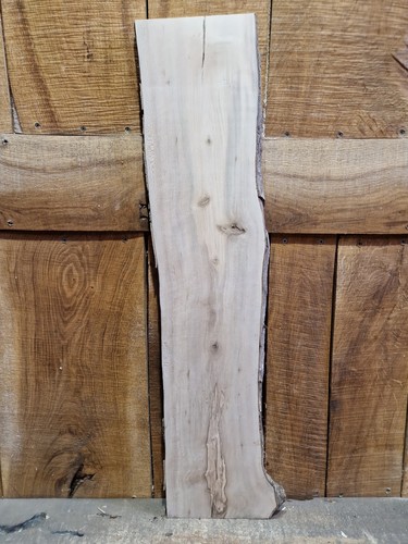 Live edge holly slab - edge,