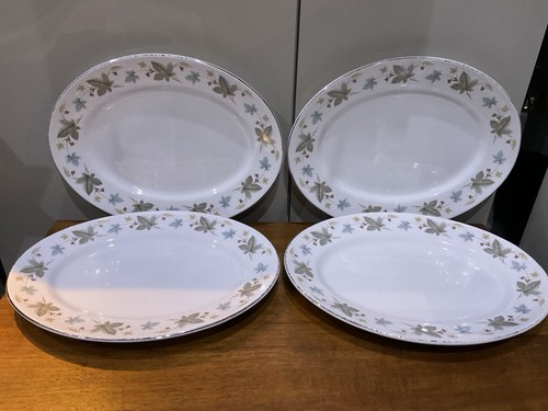 Dinner plates oval - dinner, white