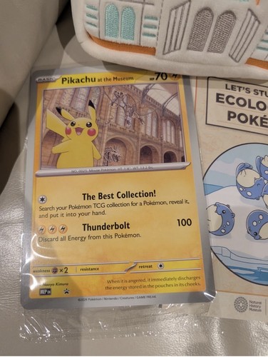 Pokémon natural history - pokémon,
