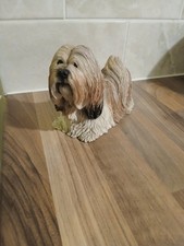 Vintage 2002 Lhasa Apso Puppy