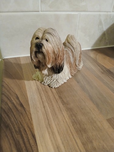 Vintage 2002 lhasa - vintage, puppy