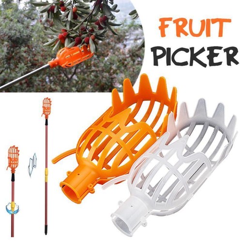Garden basket fruit - fruit, picker