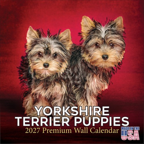 Yorkshire terrier puppies 2027 - yorkshire,