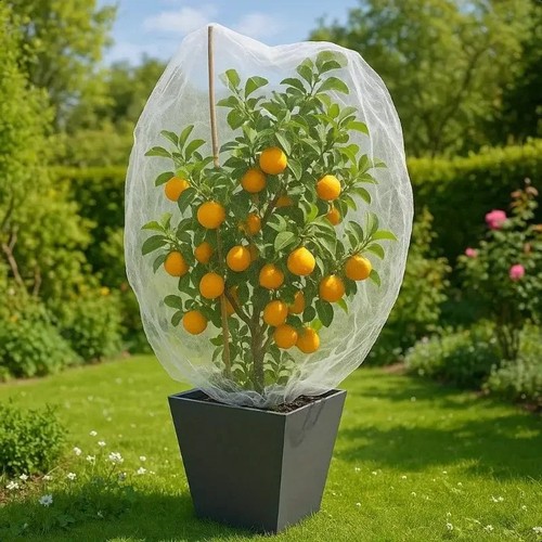 Garden bird netting - netting, mesh