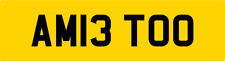 AMIE PRIVATE CAR REG NUMBER PLATE AM13 TOO ALL FEES PAID - AMI AMY AMB AIMZ AME