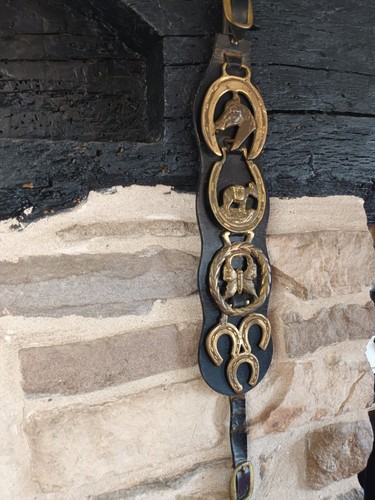 Vintage horse brasses brass - vintage,