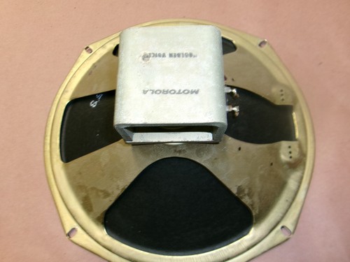 Vintage magnavox alnico - 12",