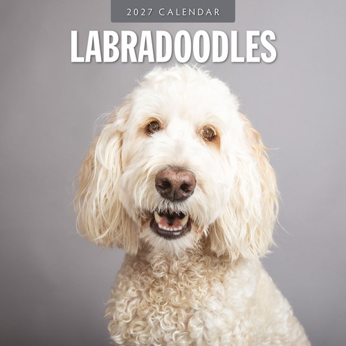 Labradoodles 2027 square wall - labradoodles,