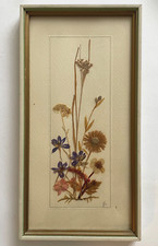 80s’s Pressed Dried Flowers Picture 12 x 6.5in  Framed